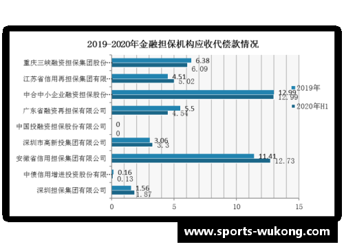 亚泰球员报价波动:市场分析与未来走势 亚泰球员报价波动:市场分析与未来走势